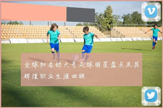 全球知名的大号足球明星盘点及其辉煌职业生涯回顾